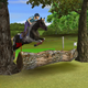 Image for article titled My Horse and Me: Riding For Gold Could Drive Me to Violence